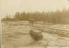 Logging in the 1900s